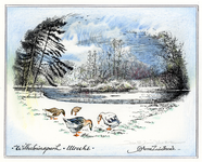 202907 Afbeelding van enkele ganzen bij de vijver in het Wilhelminapark te Utrecht, tijdens winterse omstandigheden.
